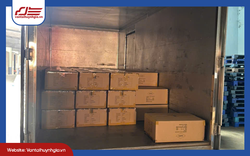 Dịch vụ thuê xe tải 5 tấn chở hàng tại TP.HCM