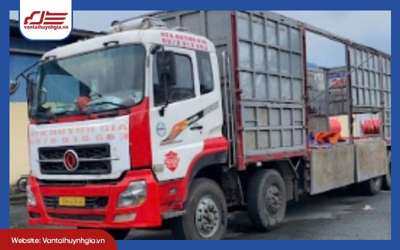 Dịch vụ chuyên nghiệp và hỗ trợ đa dạng