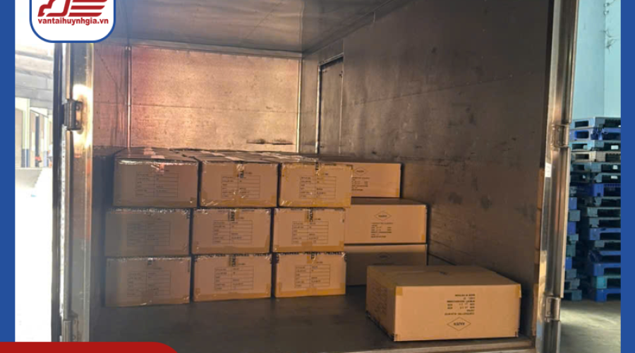 Dịch vụ thuê xe tải 5 tấn chở hàng tại TP.HCM